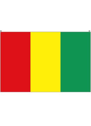 Guinea Flag 5ftx3ft